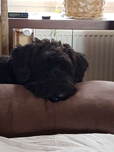 Sie werden so schnell erwachsen ...-Beitrag-Bild