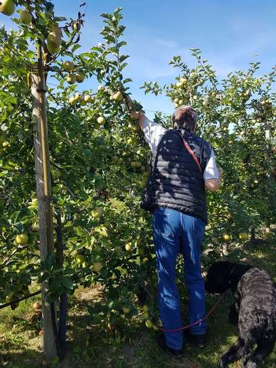 Die Dogorama Monats Challenge "Es grünt und blüht"-Beitrag-Bild
