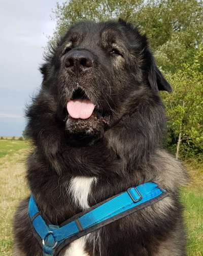 Fotochallange Nr. 57     PORTRÄT.   Beendet!!!!!!!!-Beitrag-Bild