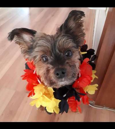 Fotochallenge Nr. 56 - geliebte Senioren-Beitrag-Bild