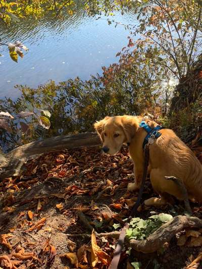 Herbst Bilder-Beitrag-Bild