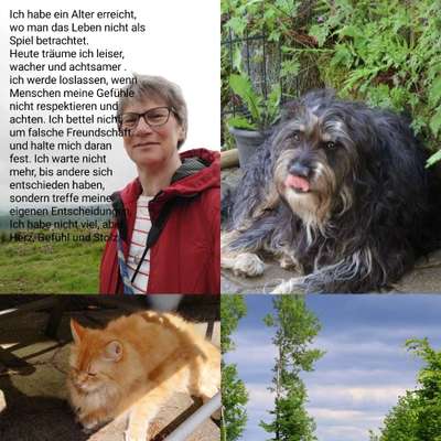 Hundetreffen-Spiel- und GassiRunde