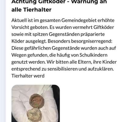 Giftköder-Giftköder-Bild