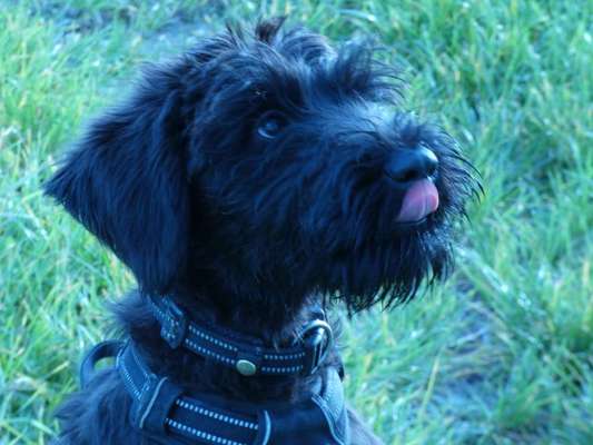 Handyfoto challenge Nr. 13: Waschlappen raus!-Beitrag-Bild