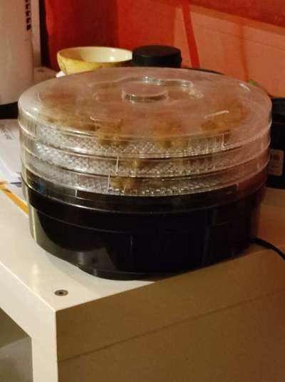 Heute gibt es.....der "ich mach die Leckerlis-Selber-Thread"-Beitrag-Bild