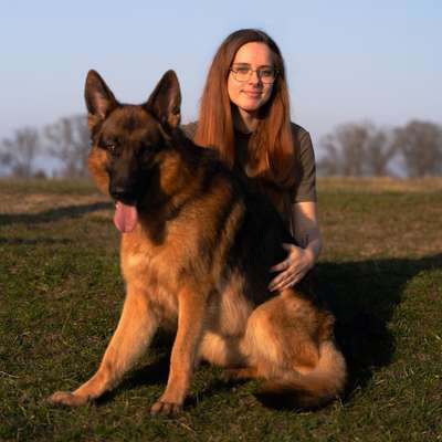 Hundetreffen-Wir suchen vielleicht den Freund fürs Leben-Bild