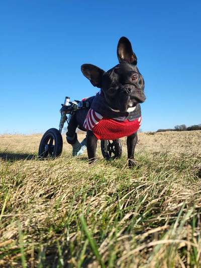 Fotochallenge Nr. 67: Euer Lieblingsbild-Beitrag-Bild