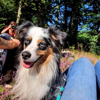 Fotochallange Nr. 57     PORTRÄT.   Beendet!!!!!!!!-Beitrag-Bild