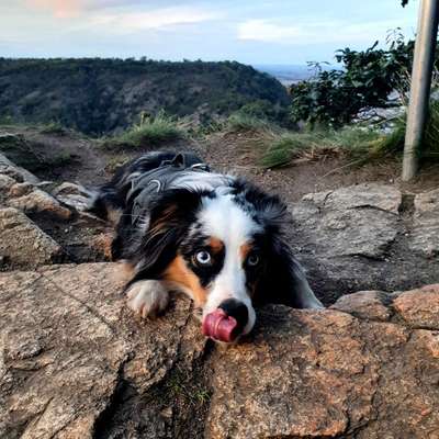 Fotochallange Nr. 57     PORTRÄT.   Beendet!!!!!!!!-Beitrag-Bild