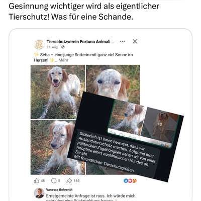 Politische Haltung als Ausschlusskriterium bei der Hundevermittlung?-Beitrag-Bild