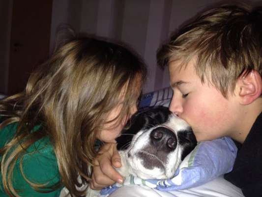 Hundmenschfotos-Beitrag-Bild