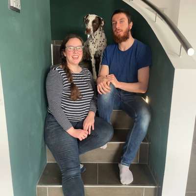 Hundetreffen-Spazieren und Spielen-Profilbild