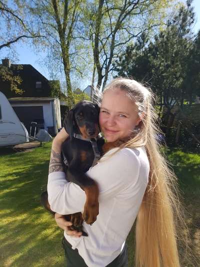 Welpen Bilder !-Beitrag-Bild