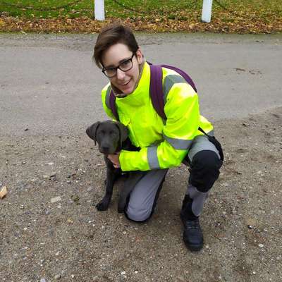 Hundetreffen-Rückruftraining und entspanntes Gassigehen-Profilbild