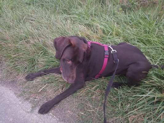 Doppelgänger gesucht !-Beitrag-Bild