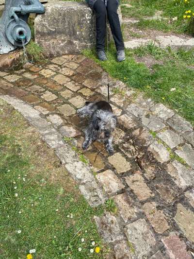 Doppelgänger gesucht !-Beitrag-Bild