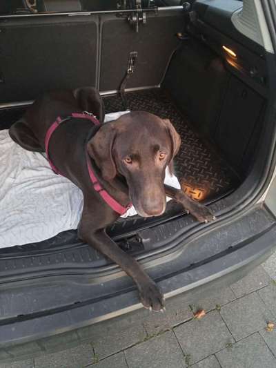 117. Fotochallenge-Beitrag-Bild