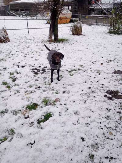 Doppelgänger gesucht !-Beitrag-Bild