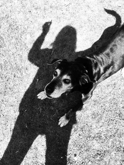 Foto-Challenge 76: Foto in Schwarz-Weiss-Beitrag-Bild