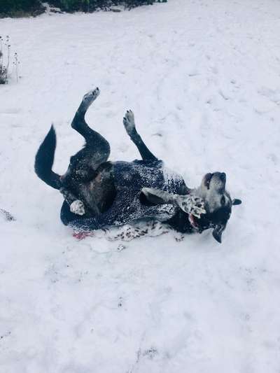 Challenge Nr. 15
Spiel im Schnee-Beitrag-Bild