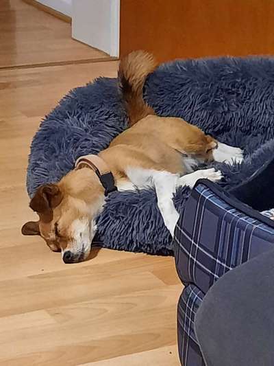 Die unbequemsten und lustigsten Schlafpositionen-Beitrag-Bild