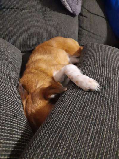 Die unbequemsten und lustigsten Schlafpositionen-Beitrag-Bild