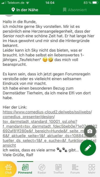 Tierschutzhunde suchen ein Zuhause-Beitrag-Bild