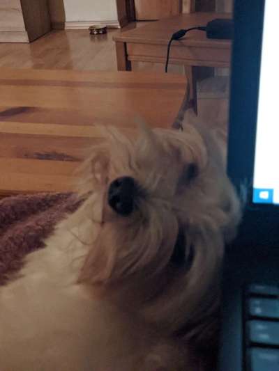 Un...scharf Bilder-Beitrag-Bild