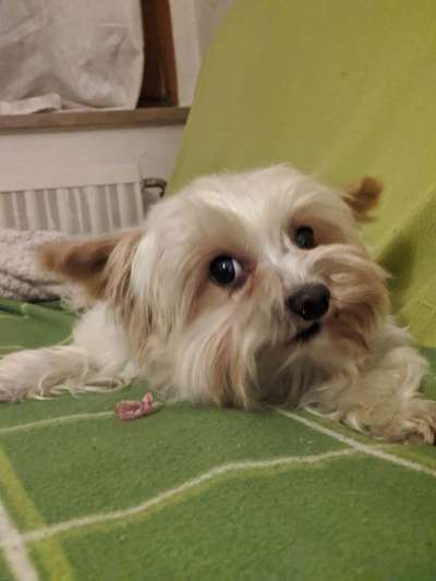 Ratespaß geht weiter-Beitrag-Bild