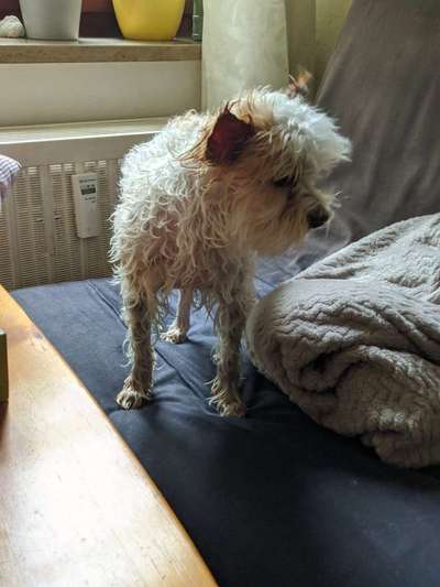 Der Gewichts-Thread-Beitrag-Bild