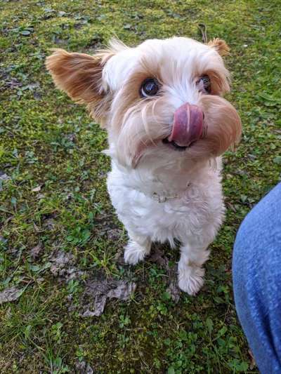 "Die eingefangene Magie des Augenblicks"-Beitrag-Bild