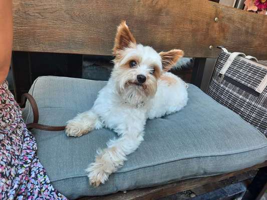 Doppelgänger gesucht !-Beitrag-Bild