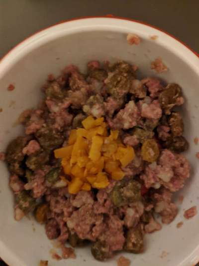 Zeigt her Eure Futternäpfe-Beitrag-Bild