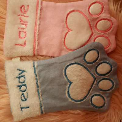 Impfpasshülle ja/nein?-Beitrag-Bild