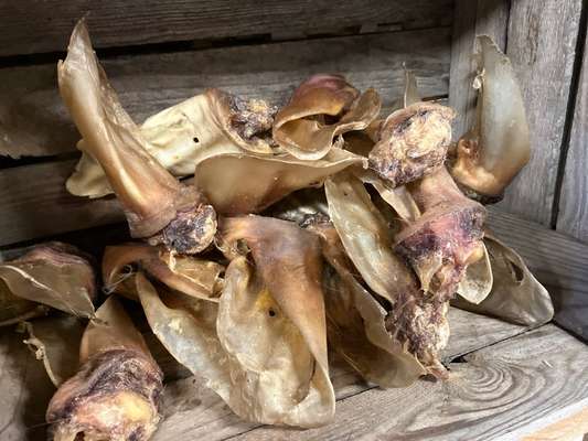 %{de_profession_title}-Rinderohren ohne Fell mit Muschel-Bild