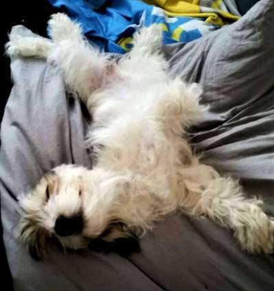 Die unbequemsten und lustigsten Schlafpositionen-Beitrag-Bild