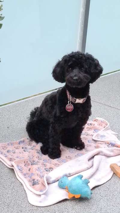 Doppelgänger gesucht !-Beitrag-Bild