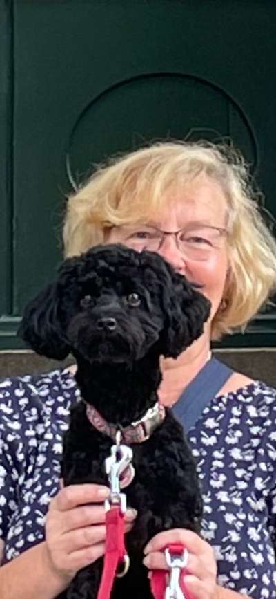 Handyfoto challenge Nr.7-Beitrag-Bild