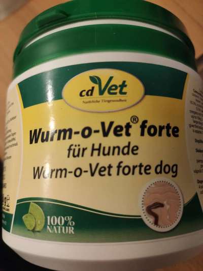 Wurmkur Hund-Beitrag-Bild