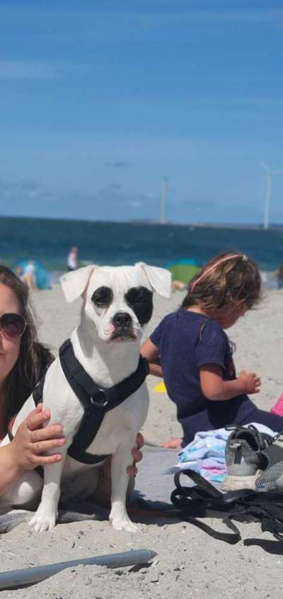 Doppelgänger gesucht !-Beitrag-Bild