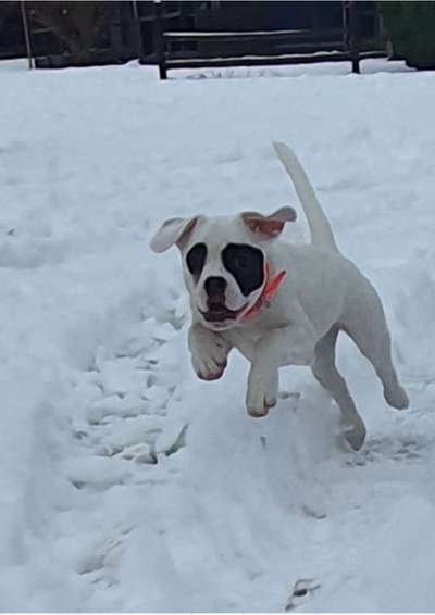 Immer lächeln !-Beitrag-Bild