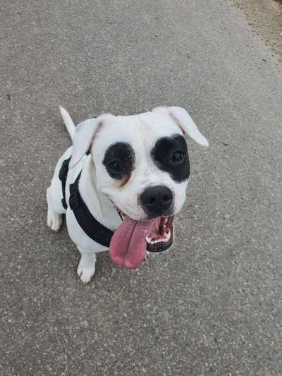 Blick fürs Detail!-Beitrag-Bild