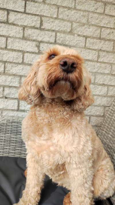 Freddys Kummerkasten-Beitrag-Bild