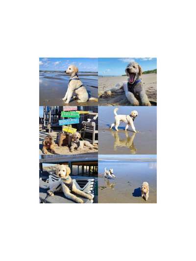 37. Collagen Challenge- Am Strand-Beitrag-Bild