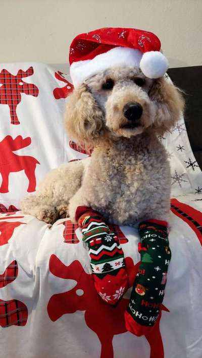 Freddys Kummerkasten-Beitrag-Bild