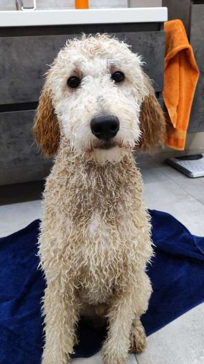 22. Handy Foto - Challenge-Beitrag-Bild