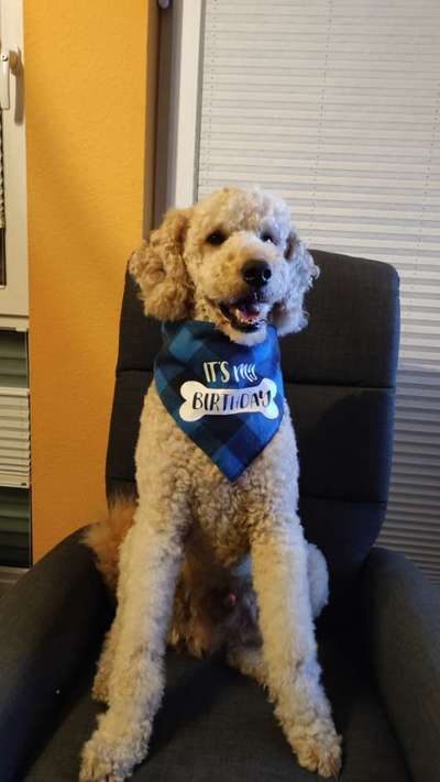 Freddys Kummerkasten-Beitrag-Bild