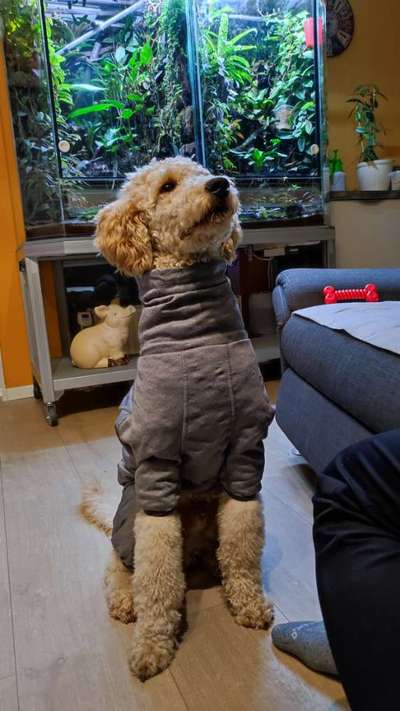 Freddys Kummerkasten-Beitrag-Bild