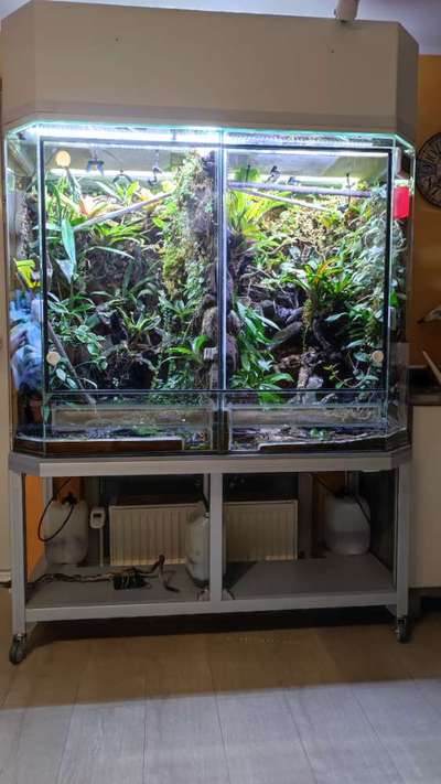 Freddys Kummerkasten-Beitrag-Bild