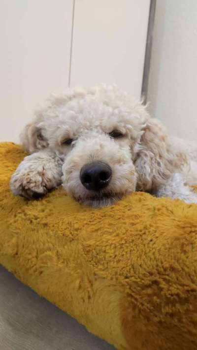 Freddys Kummerkasten-Beitrag-Bild